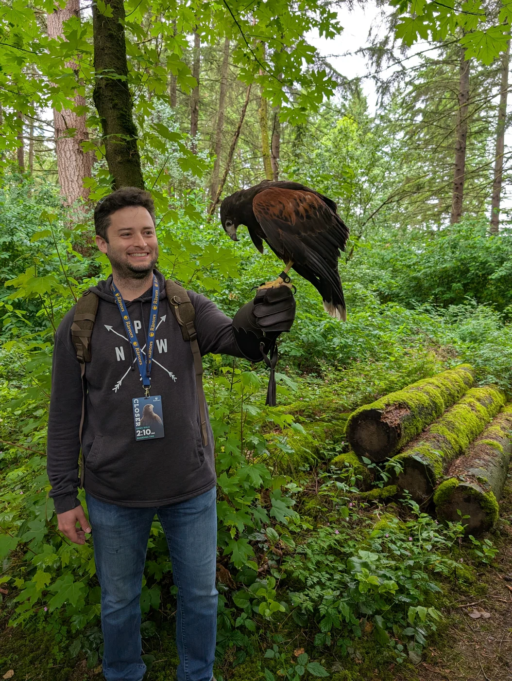 David with hawk in temperate rainforest
