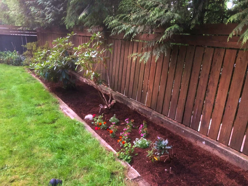 Western Red Cedar Privacy Fence & Flower Border