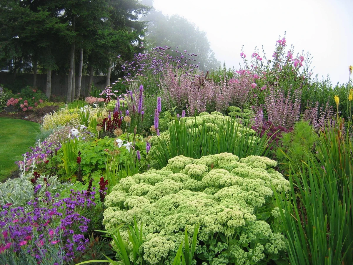 Aménagement Végétal & Plantations